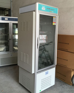 双重门250L光照培养箱图片