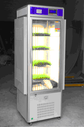 光照培养箱ZPG-150S单门150L图片