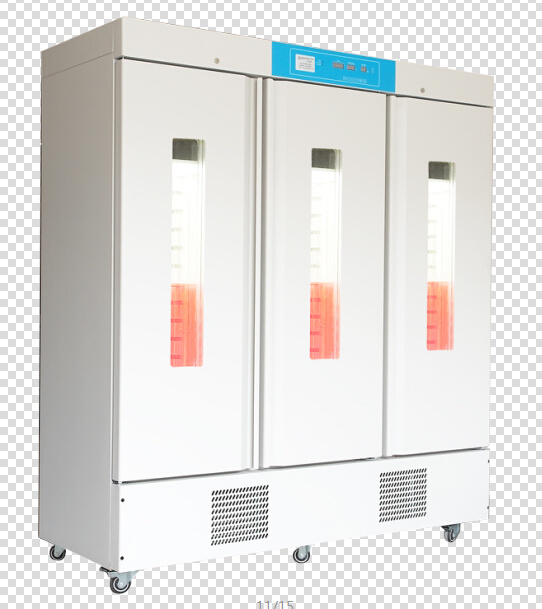 DPRX-250B人工气候箱图片