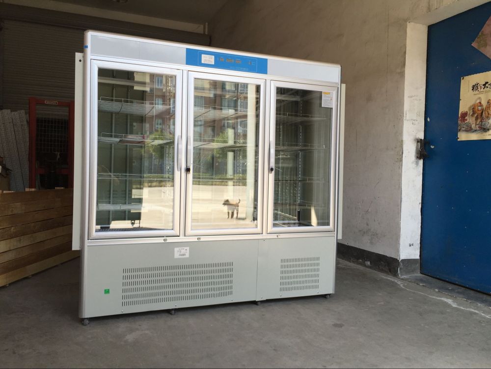 PRX-2000D人工气候培养箱四面光照图片