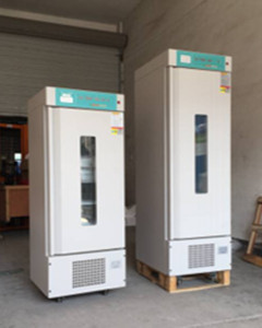 250L恒温恒湿培养箱 HWS-250图片