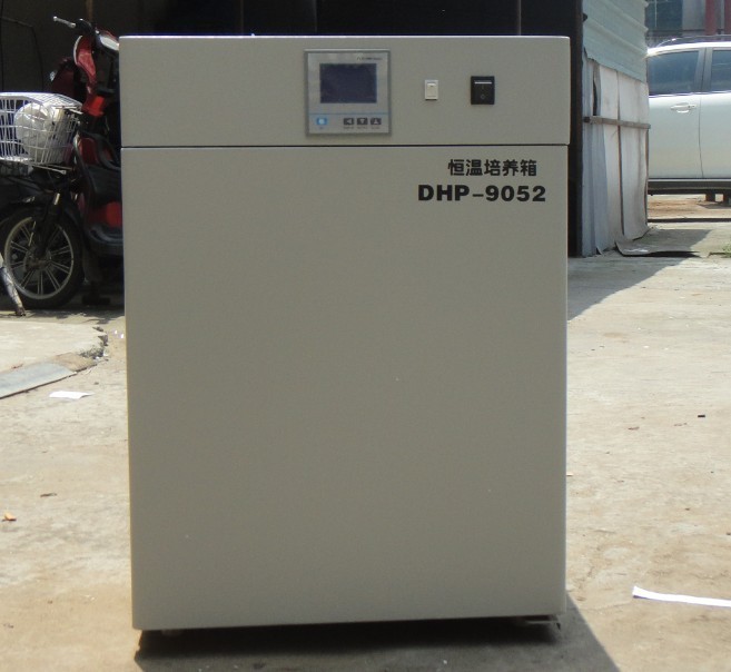50L电热恒温培养箱DHP-9052图片